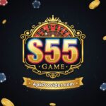 S55 Game