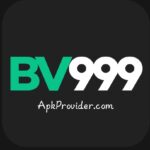 BV999 Game